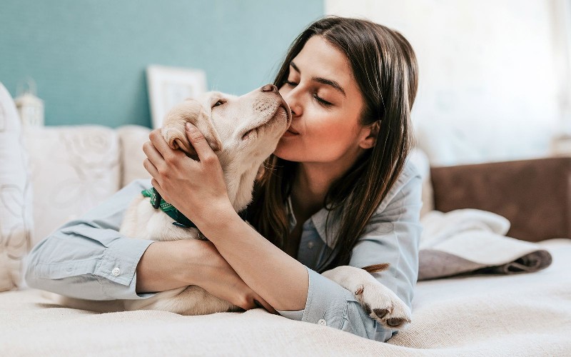 A ligação entre a saúde mental do pet e do dono: Como os animais de estimação melhoram o bem-estar 